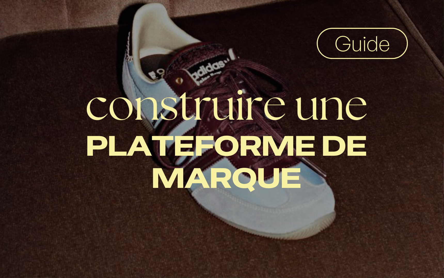 Guide : Comment construire une plateforme de marque ?